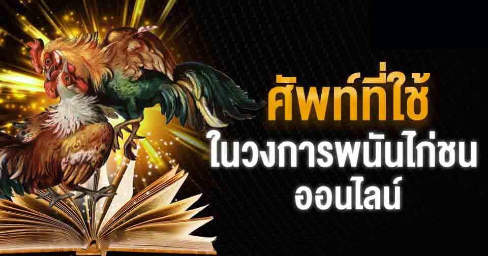 คำศัพท์ไก่ชนออนไลน์ที่ผู้เล่นพนันควรรู้ก่อนเริ่มแทงเดิมพัน